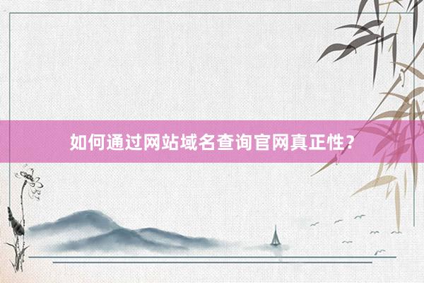 如何通过网站域名查询官网真正性？