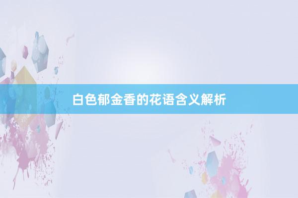白色郁金香的花语含义解析