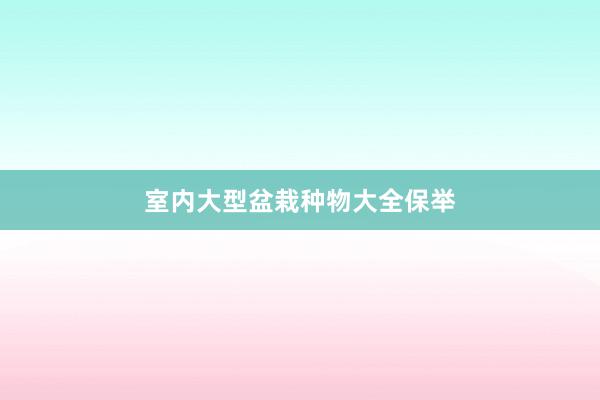 室内大型盆栽种物大全保举